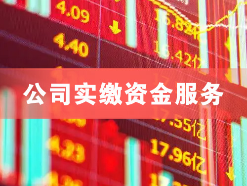 都匀公司实缴资金服务